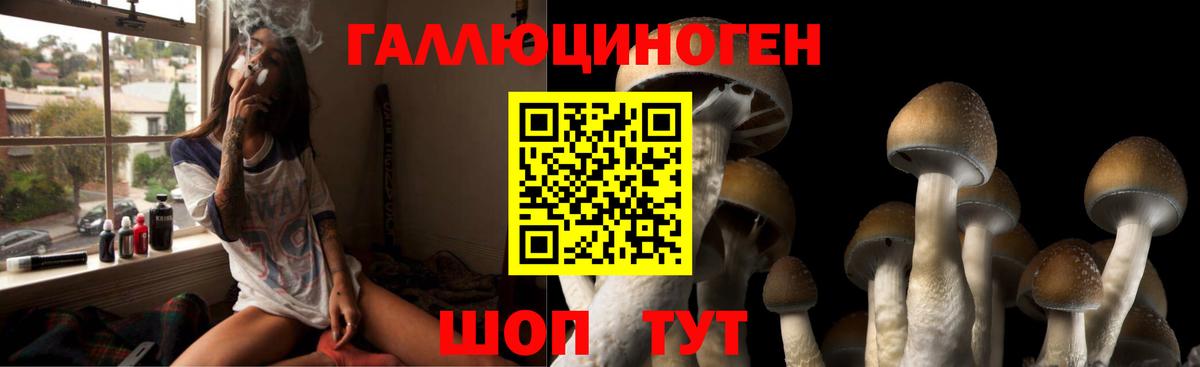 Ишимбай  Галлюциногенные грибы Psilocybine cubensis  Вход с VPN 